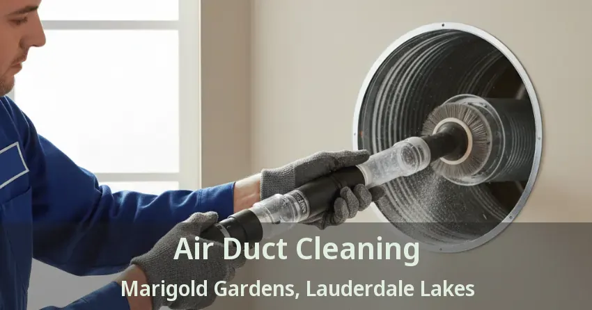 Air Duct Cleaning Marigold Gardens, Lauderdale Lakes - FL