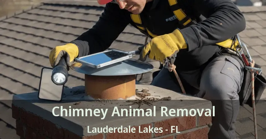 Chimney Animal Removal Lauderdale Lakes - FL