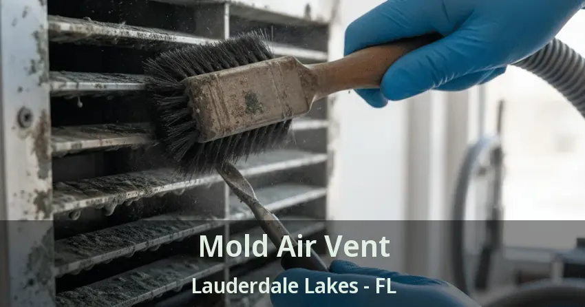 Mold Air Vent Lauderdale Lakes - FL