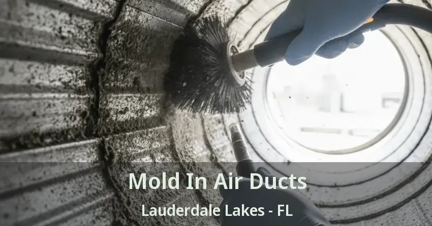 Mold In Air Ducts Lauderdale Lakes - FL