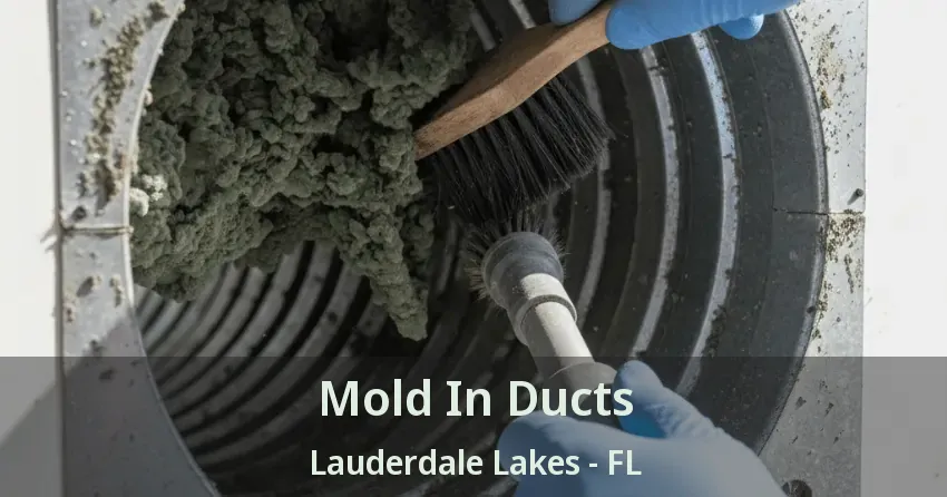 Mold In Ducts Lauderdale Lakes - FL