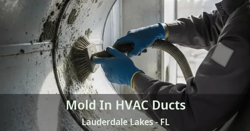 Mold In HVAC Ducts Lauderdale Lakes - FL